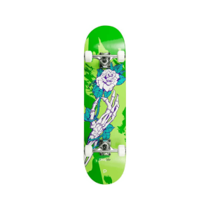 Skateboard - Playlife Homegrown (31"x 8")